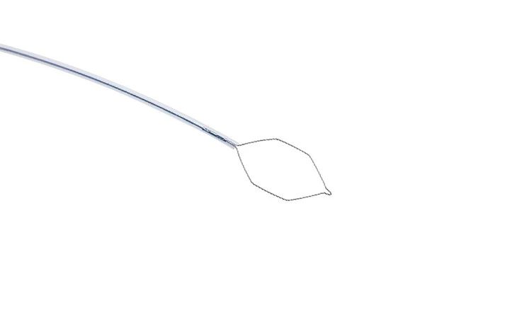 Polypectomy Snare Single Use