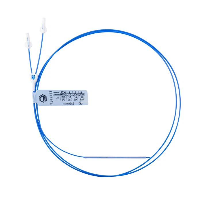 Single Use Dilation Balloon Catheter For ERCP
